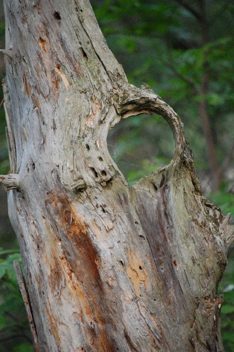 SUMMER2010- (72)